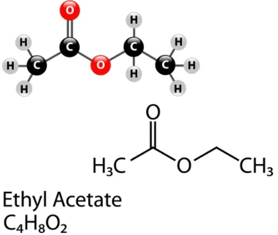Structure Of Ethyl Acetate Structure Of Ethyl Acetate